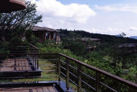 爱威利斯高尔夫度假村