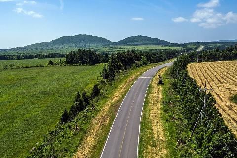 鹿山路油菜花路