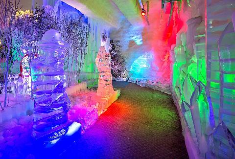 수목원테마파크_2025.11.11 영업종료(리모델링공사) / 2026.03.01 재오픈 예정