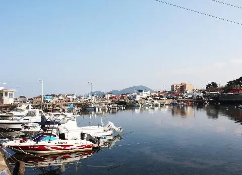 Separate port