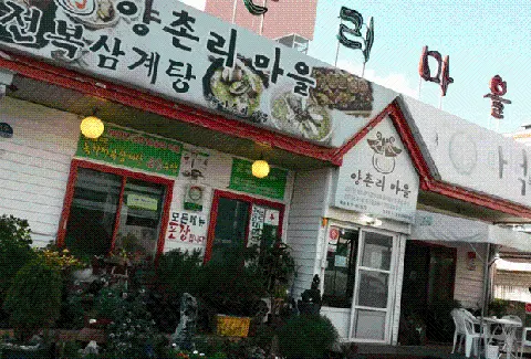 양촌리마을 사진