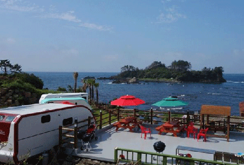 돌고래하우스(캠핑장)