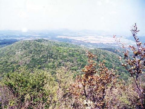말찻