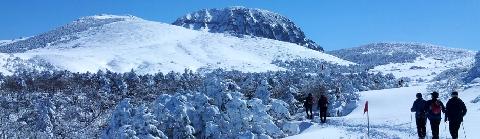 常に美しい済州島、1月はさらに美しい