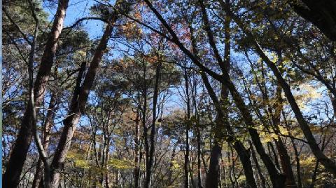 한라산국립공원