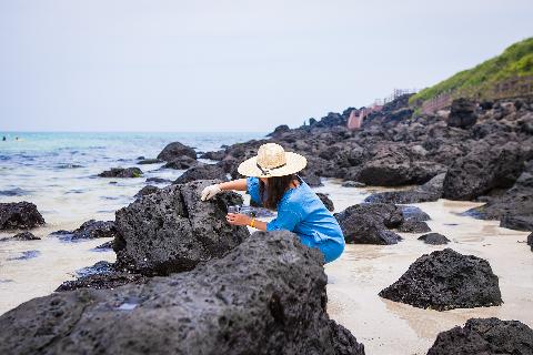 Collect your own seafood <Where to collect your own seafood the traditional way in Jeju> 대표이미지