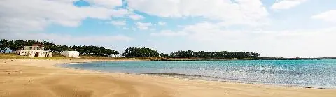 대정해변 사진