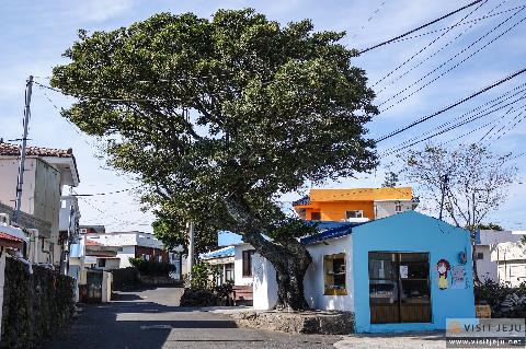 Lots to see everywhere: “Jongdal-ri” <Town at the end of Jeju>