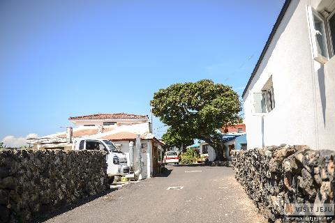 Lots to see everywhere: “Jongdal-ri” <Town at the end of Jeju>