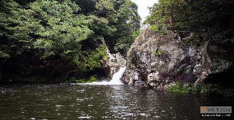 Gosalli Forest Trail
