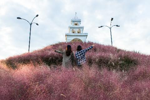 제주허브동산