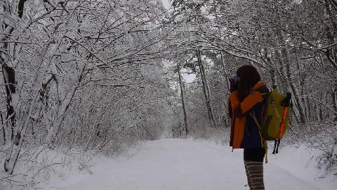 제주 한라산의 아름다운 눈꽃 영상 <12월엔 떠나요 ~ 하얀 눈꽃 설렘의 제주로! >