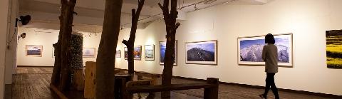 포토갤러리 자연사랑미술관