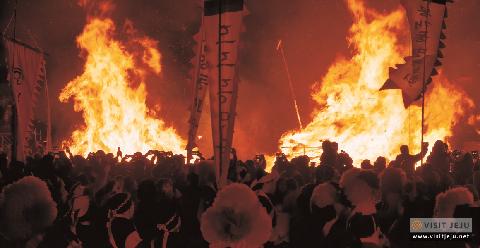 2019년 3월 놓치지 말아야 할 제주 관광 10선 <봄날, 꽃길 그리고 제주의 화양연화>
