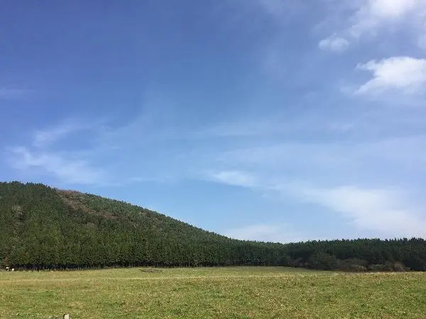 한적하고 <br>800계단의 압박? <br>자유로움이 느껴진 오름