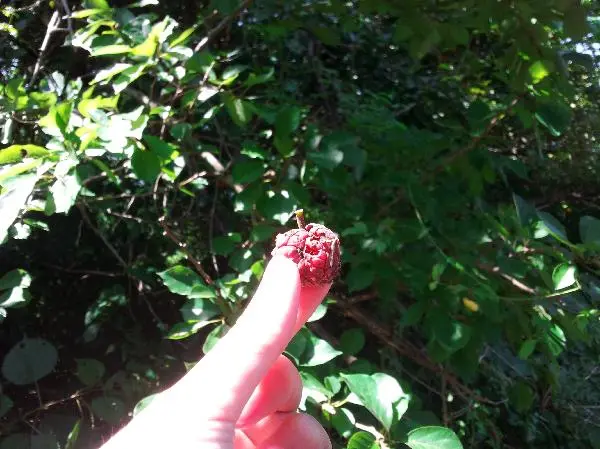 람사조약 습지로 등록돼있을 만큼 보호되어야할 생명체들이 무궁무진한 이곳에서 우연히 마주친 아주 작은 생명체 하나.