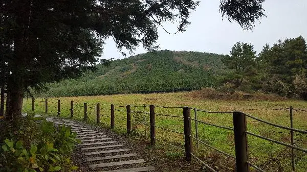 다른 오름들과는 약간 공기 자체가 틀린것 같은<br>물영아리 오름 최고