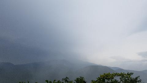 null 리뷰사진4