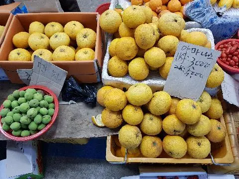 #하귤<br>제주민속오일장에서 비타민C 풍부한 하귤 발견하여 구입했다