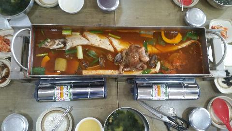 무조건 한마리가 진리