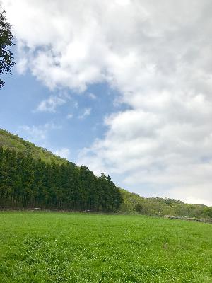 제주에서 사색을 즐기며 조용한 오솔길을 즐기고 싶다면 사려니숲길을 추천합니다. 사려니란 뜻은 신성하다는 뜻이라고 해요. 마치 일본 애니메이션에서 본 듯한 너무도 예쁜길이 끝도 없이 이어지죠! 맑은 공기와 새소리는 보너스~~