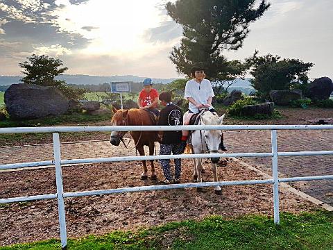#제주 어승생 #제주 승마체험