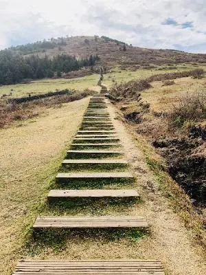 #가을에도푸릇푸릇백약이오름
