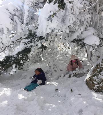 #제주 겨울#눈 내린 1100고지#눈 밭의 아이들