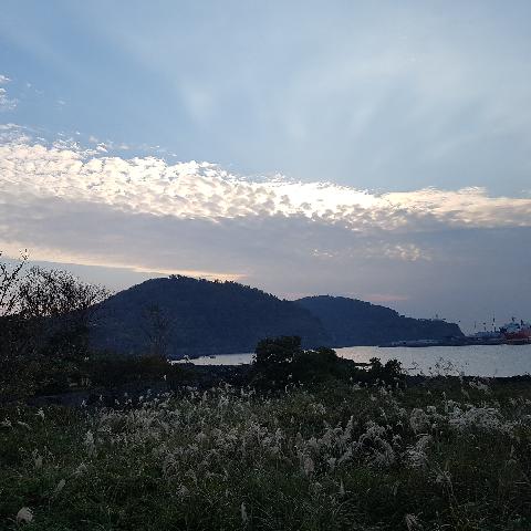 null 리뷰사진5
