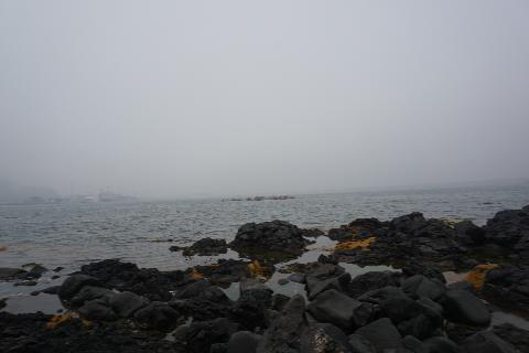 null 리뷰사진3