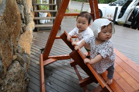 #꽃을담다<br>#꽃차#한라봉양갱이