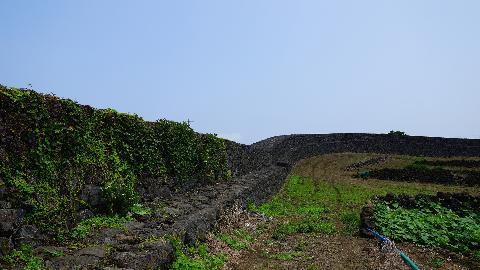 조선시대 왜구들의 침입에 대비해 하도리에 만든 진지이다.<br>성곽이 잘 보존되어 있고 내부에서는 밭농사를 짓고 있다.<br>#별방진 #성곽 #왜구방어