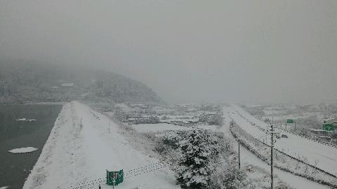null 리뷰사진2