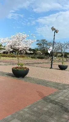 #봄날의4.3평화기념관 #동백뱃지 #어린이집가방에 #달고다님