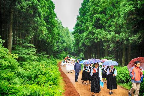 #비가촉촉히 내리던날 사려니숲길을 수녀님들과 아름다운 동행을 같이 해봅니다.