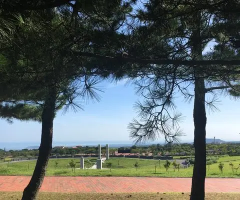 #제주43 #제주43평화공원