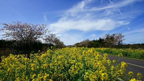 null 리뷰사진5
