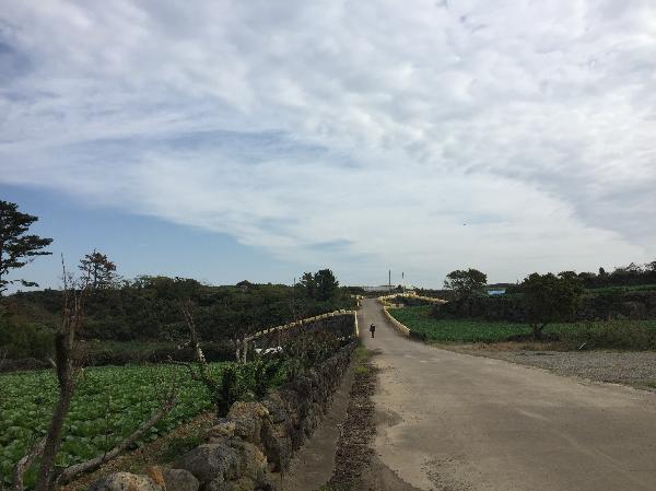 null 리뷰사진4