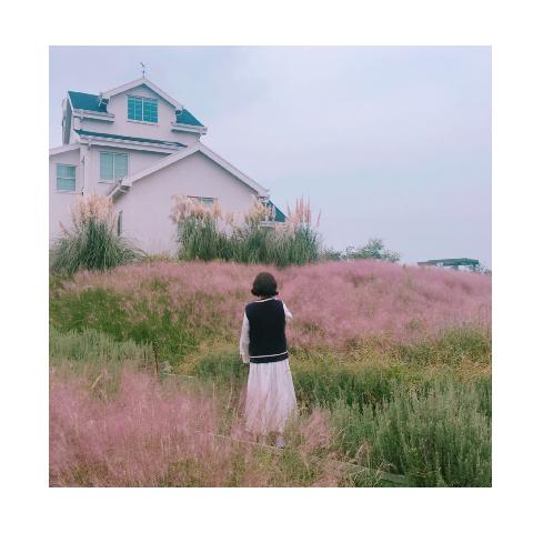 null 리뷰사진2