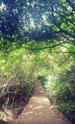 #산과오름<br>제주에는 무수히 많은 오름이 있는데 그중에서 물영아리 오름은 특별합니다. 정상에 오르면 분화수에 있는 작은 호수를 볼 수 있는데 풍경이 너무 아담하면서 멋지거든요! 주변 산책로도 아주 근사합니다.