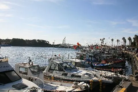 #제주여행 #서귀포 #새연교 #제주도 #제주