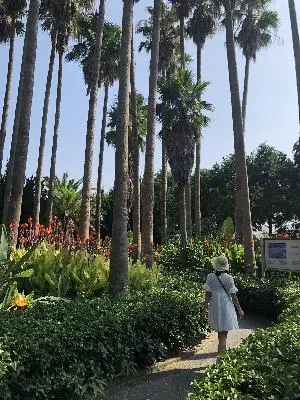 #힐링이필요해 #비행기 를 타고 #소중한사람 과 함께 떠난 #제주도 #여행 눈도 마음도 #피로 하고 #지친 내게 #푸르른 #제주 는 말이 필요없는 #힐링 이었지..<br>#지치고 #힘들땐 #소중한사람 과 함께 #제주여행 을 #떠나요 몸도 마음도 #토닥토닥 #쓰담쓰담 #비타민 #충전 될거야