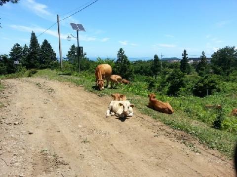 #산과오름 #삼의악오름