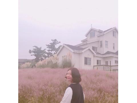 null 리뷰사진4