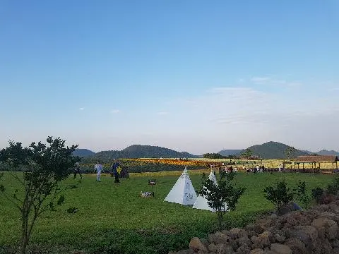 늦여름의 보롬왓