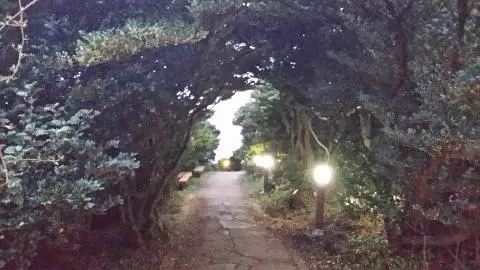 큰엉  금호리조트 뒤  해안 산책길을 가다보면 전국지도가 눈압에  찍힌다 살짝 무릎을 꿇고 찍어야 제대로다