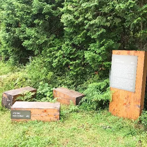 #제주여행#송당#송당상회#안돌오름#밧돌오름