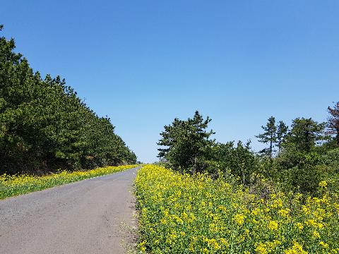null 리뷰사진2