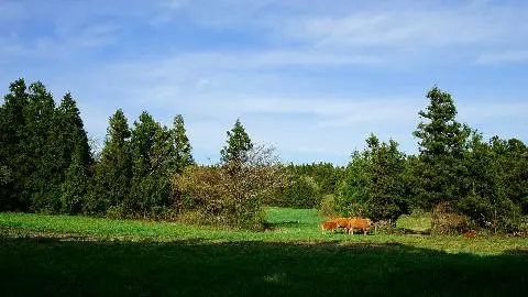 #물영아리로름 #오름 #늑대소년촬영지,