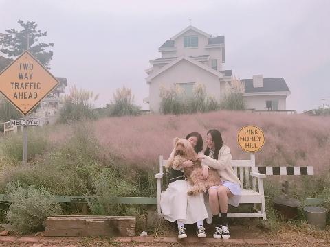 null 리뷰사진5